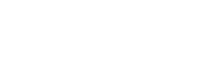 Platinum Solution Partner white